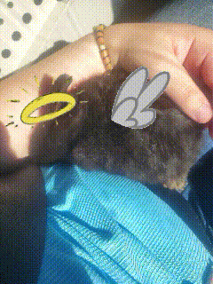 my dead son